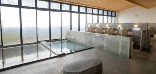 Top 10 Best Airport Washrooms in the World in 2025